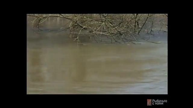 Ловля усача смотреть онлайн