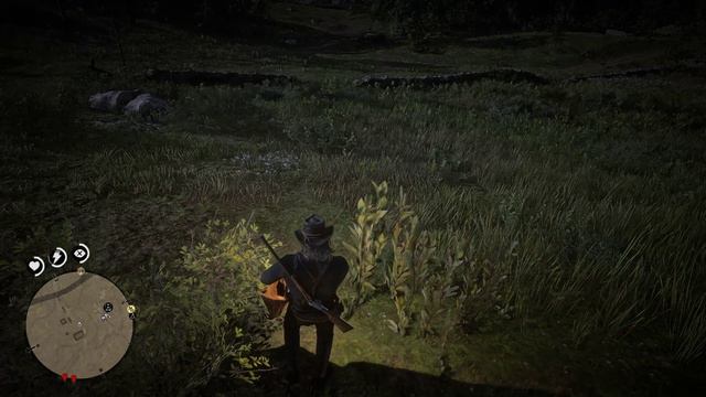 чит код на зебру rdr2. Zebra cheat code RDR2 #shorts смотреть онлайн