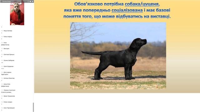 КСУ для НОВАЧКІВ - ВИСТАВКИ ТА ХЕНДЛІНГ смотреть онлайн