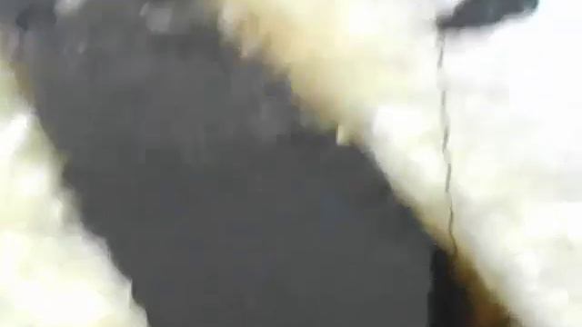 Налим на продольник ... смотреть онлайн