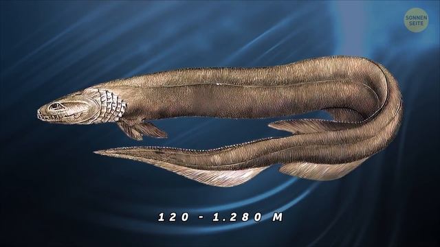 10 Tiefseekreaturen, die dir Albträume bereiten werden смотреть онлайн