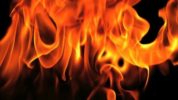 Game Battle 2 - Game Sack