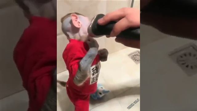 ожно идти к девушке ребятам на фронт я там уже был и знаю каково это 2202 2003 4591 2586 сбер смотреть онлайн