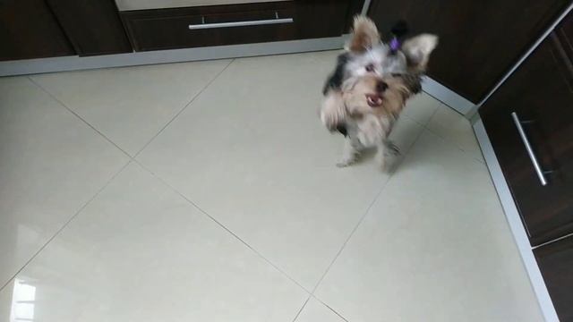 ❤️ Чем отмыть швы между плиткой за 5 минут ❤️ Меламиновая губка в действии ❤️ смотреть онлайн