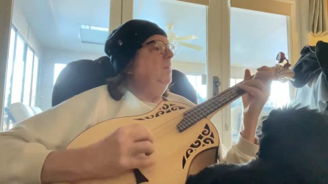 Yair Stern Octave Mandolin смотреть онлайн