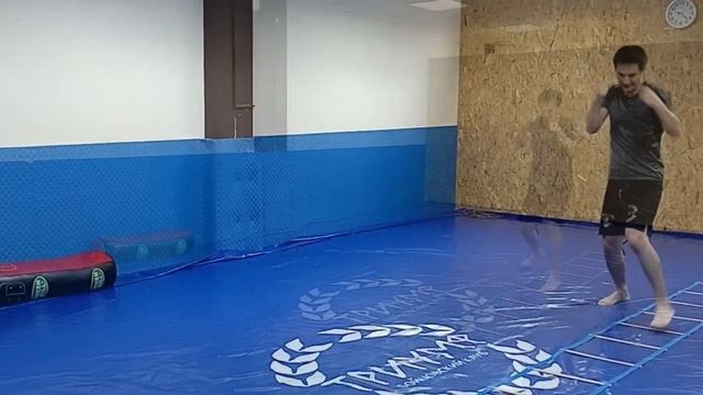 Координационная лестница в единоборствах смотреть онлайн