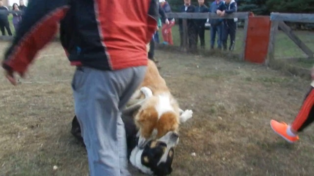 DSCN3719 смотреть онлайн