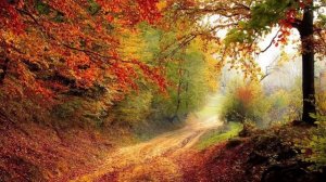 Истории из жизни. Сюрприз мужа. Жизненные истории. Интересные истории. Душевные истории Аудиорасска