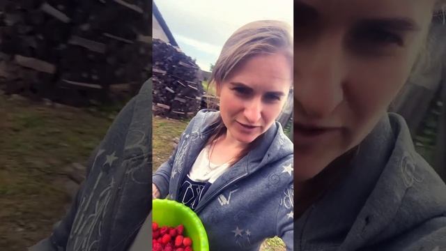 Заготовка малины на зиму. Аля варенье)