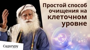Интервальное голодание поможет вам очистить карму и избавиться от хронических заболеваний