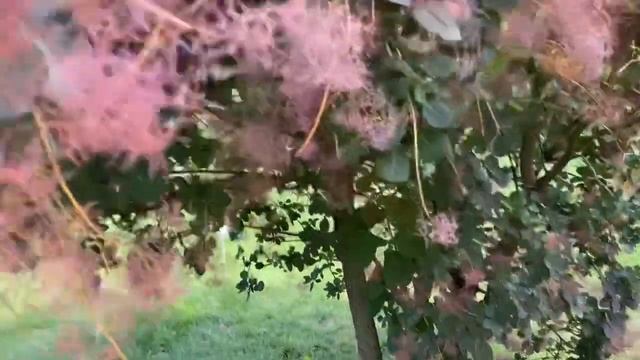 Куда я опять пропала ? Фестиваль My Way – здоровый образ жизни. Проверка на ожирение. Пора худеть. смотреть онлайн