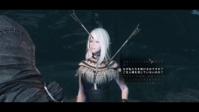 【TES5 SKYRIM クエストMODの旅 #95】Death Consumes All編 8【スカイリム ゲーム実況】 смотреть онлайн