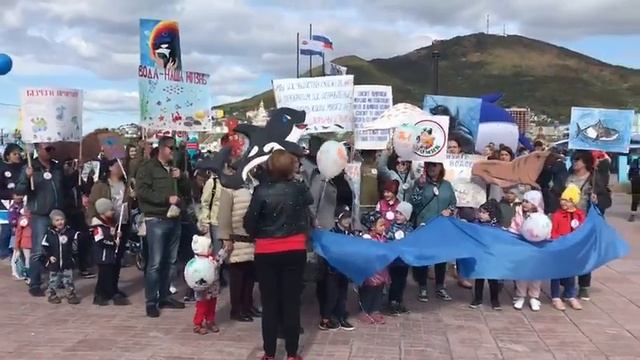 Фестиваль "Море жизни" МБДОУ "Детский сад № 24 общеразвивающего вида" 2018 г. смотреть онлайн