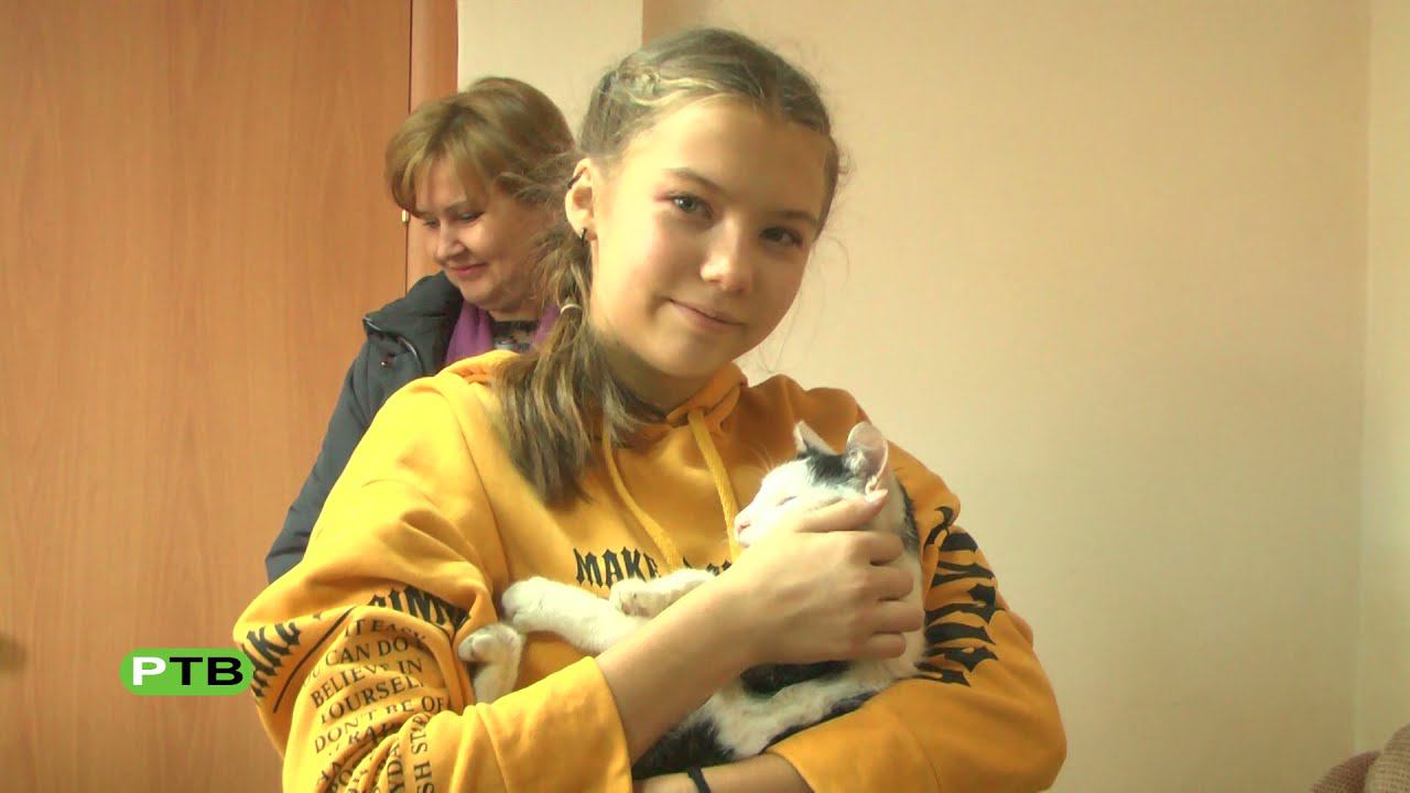 Искусство и доброта живут рядом смотреть онлайн