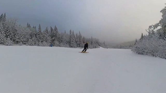 Long turns Carving ski-SKI:IQ=157 смотреть онлайн
