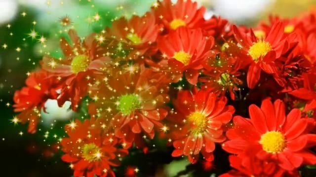 Фон для клипа смотреть онлайн