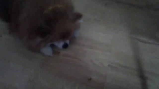 Боня рассказывает о том какие сны ей снятся