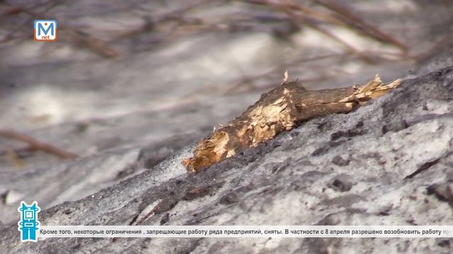 Ограничения на въезд в Кузбасс смотреть онлайн