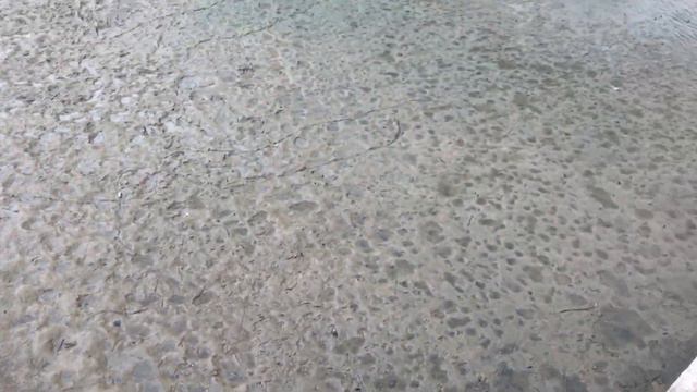 06.06.17 4-й щучий пруд спущен смотреть онлайн