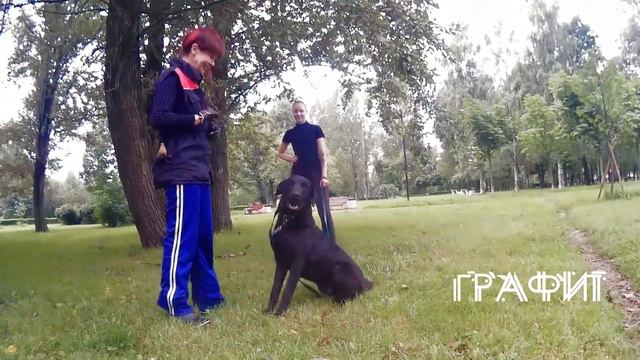 Графит смотреть онлайн