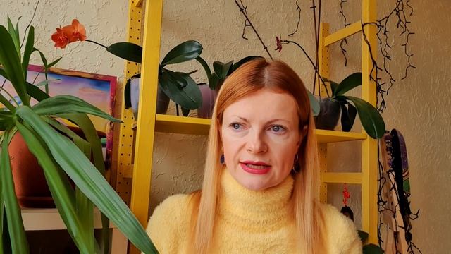 Как астрология изменила мою жизнь смотреть онлайн