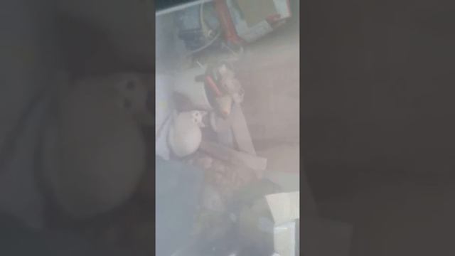 Побег из дома часть #2 смотреть онлайн