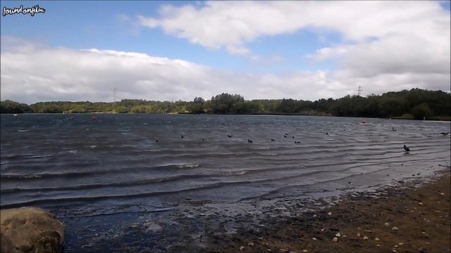 Going for a little stroll by the lake... ( Test video of the Samsung MV900F Camera) смотреть онлайн