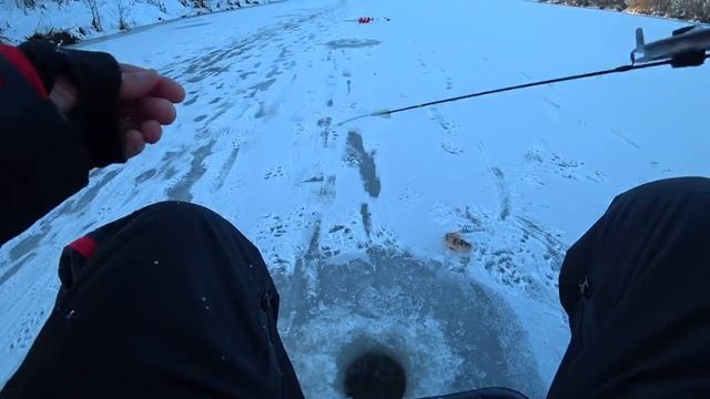 ЗИМНЯЯ РЫБАЛКА 2020! Вечерний выход КРУПНОЙ ПЛОТВЫ на БЕЗМОТЫЛКУ! Первый лёд на РЕКЕ. смотреть онлайн