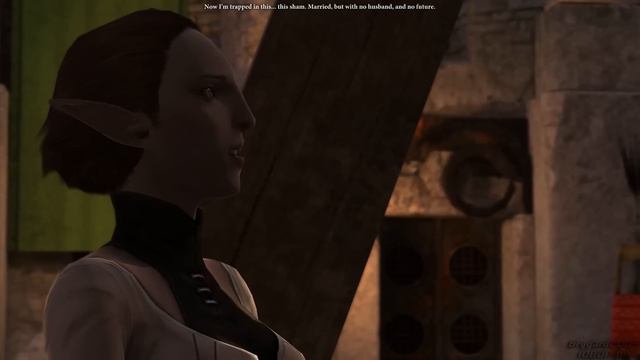 Dragon Age 2 - HD Cutscene P-22 - Gamlen quest part 2 - Meredith смотреть онлайн