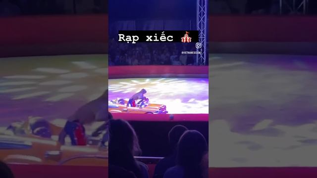 Первый раз ходила в цирк 🎪 🤡 🦍🐩🐅🤸🏻♀️🤹🏻♀️|| Вьетнамский Язык с носителем смотреть онлайн