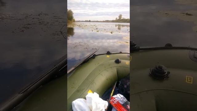 Река гумбейка смотреть онлайн