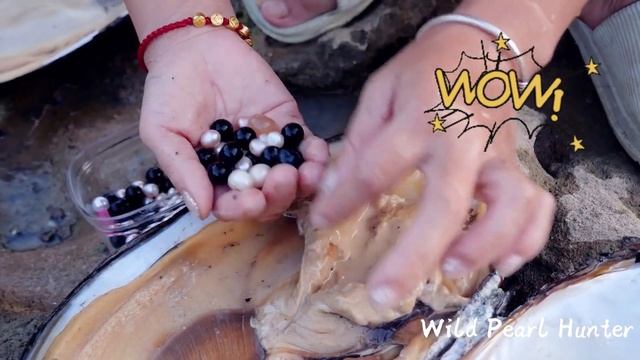 Fishing huge pearl oysters from deep pools and mining rare black pearls смотреть онлайн