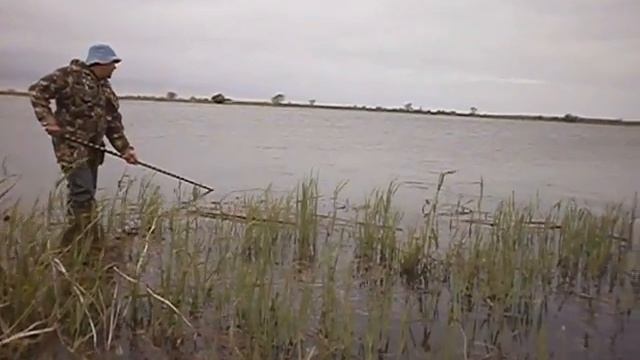 яр базар сазан на 8 кг смотреть онлайн