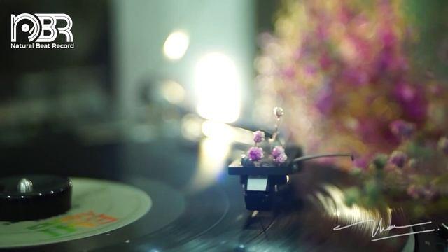 Hi Res Audiophile Test - Greatest Sound - Natural Beat Records смотреть онлайн