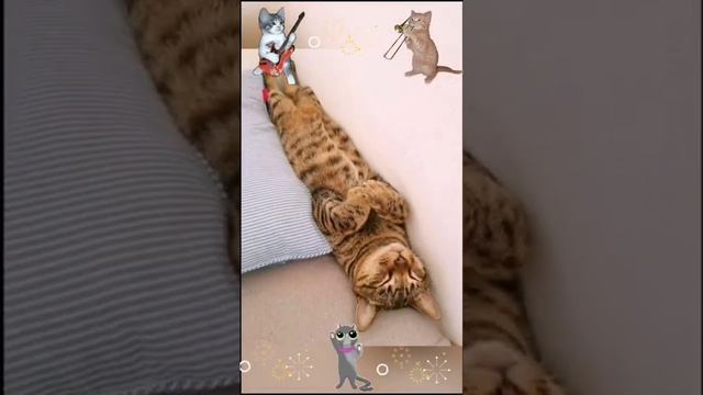 Пожелания хороших выходных. смотреть онлайн