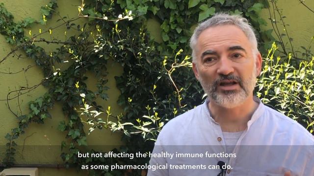 SNA, Sist. Inmune y Anestésicos Locales · ANS, Immune Sist and Local Anesthetics смотреть онлайн