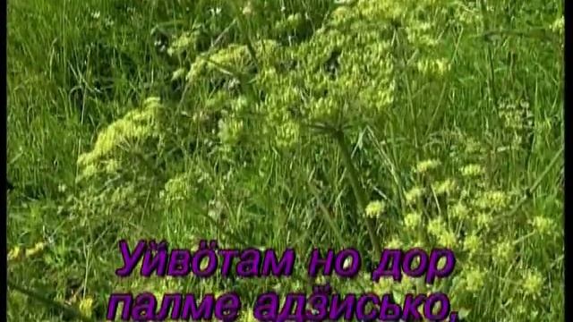 УДМУРТ КАРАОКЕ ( II ). Яратӥ смотреть онлайн
