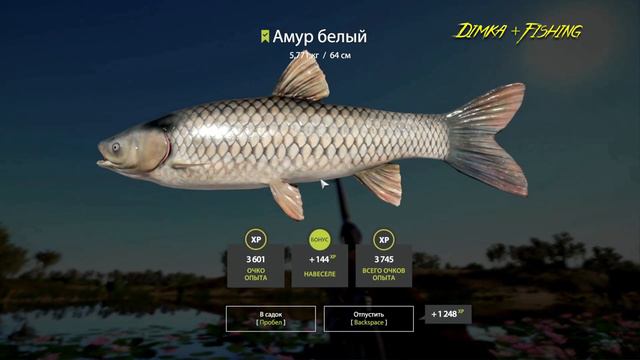 Русская рыбалка 4.🎣🦈 р. Ахтуба 🐋🐋🐋💦 КАК ЛОВИТ LATORSO 👀 смотреть онлайн