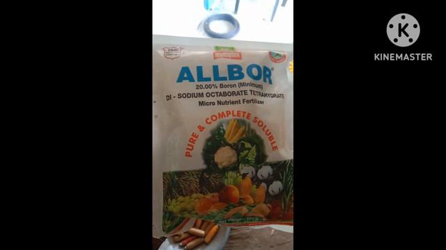 allbormultiplex#deva allbor multiplex uses in hindi#farmer allbor use kaise karte hain#kheti#farmin смотреть онлайн