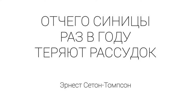 Отчего синицы раз в году теряют рассудок смотреть онлайн