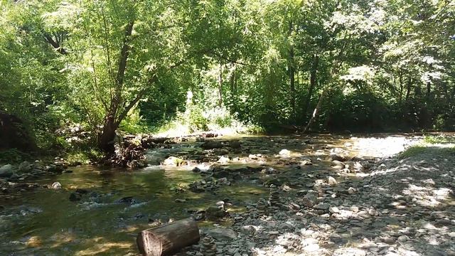 Релакс. Шум реки и шелест листвы.лето смотреть онлайн