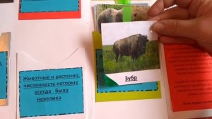 Проект Красная книга / Возьмем под защиту 2 кл