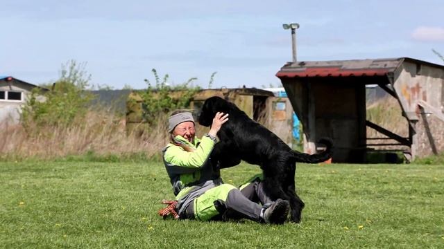 Оберон 4,5 месяца ? смотреть онлайн