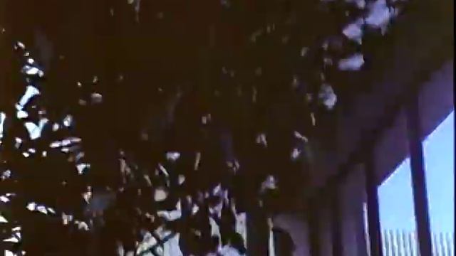 Superdyke (1975), de Barbara Hammer | FULL MOVIE смотреть онлайн