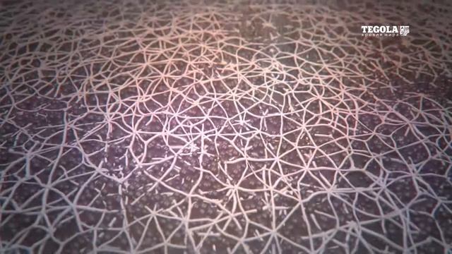 Черепица TEGOLA Рождение легенды смотреть онлайн