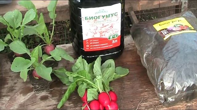 Биогумус сухой и жидкий // Секреты хороших урожаев.