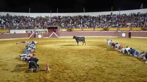 Испанское развлечение. Шоу с быком. Необычная коррида.