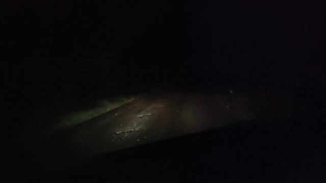 osram color blue intense 5000k H7 test смотреть онлайн