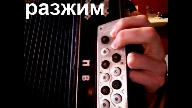 Разбор случайного видео на гармони русского строя