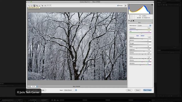 Photography Weekly #44 Photoshop Elements and Camera RAW смотреть онлайн